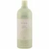 Aveda Be Curly Shampoo (1000 ml)